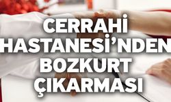 Cerrahi Hastanesi’nden Bozkurt çıkarması