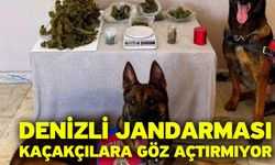 Denizli jandarması kaçakçılara göz açtırmıyor