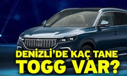 Denizli’de Kaç Tane TOGG var?