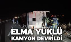 Elma yüklü kamyon devrildi