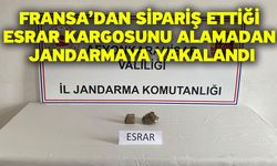 Fransa’dan sipariş ettiği esrar kargosunu alamadan jandarmaya yakalandı