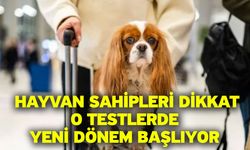 Hayvan sahipleri dikkat! O testlerde yeni dönem başlıyor