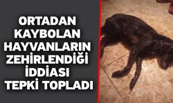 Ortadan kaybolan hayvanların zehirlendiği iddiası tepki topladı