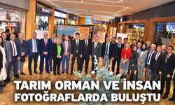 Tarım orman ve insan fotoğraflarda buluştu