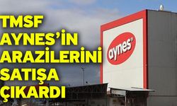 TMSF Aynes’in arazilerini satışa çıkardı