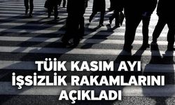 TÜİK kasım ayı işsizlik rakamlarını açıkladı