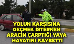 Yolun karşısına geçmek isterken aracın çarptığı yaya hayatını kaybetti