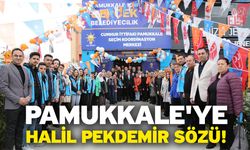 Pamukkale'ye Halil Pekdemir sözü!