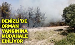 Denizli’de orman yangınına müdahale ediliyor
