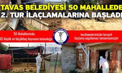 Tavas Belediyesi 50 mahallede 2. tur ilaçlamalarına başladı