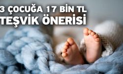 3 çocuğa 17 bin TL teşvik önerisi