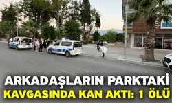 Arkadaşların parktaki kavgasında kan aktı: 1 ölü