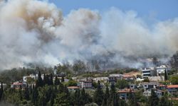 Urla ve Çeşme'de orman yangını