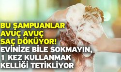 Bu şampuanlar avuç avuç saç döküyor! Evinize bile sokmayın, 1 kez kullanmak kelliği tetikliyor