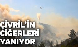 Çivril’in ciğerleri yanıyor