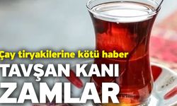 Çay tiryakilerine kötü haber! Tavşan Kanı Zamlar