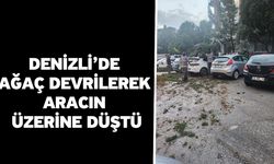 Denizli’de Ağaç Devrilerek Aracın Üzerine Düştü