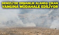 Denizli’de ormanlık alanda çıkan yangına müdahale ediliyor