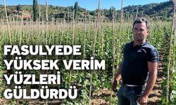 Fasulyede yüksek verim yüzleri güldürdü