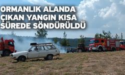 Ormanlık Alanda Çıkan Yangın Kısa Sürede Söndürüldü