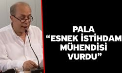 Pala “Esnek istihdam mühendisi vurdu”