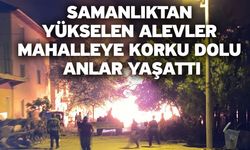 Samanlıktan yükselen alevler mahalleye korku dolu anlar yaşattı