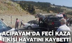 Acıpayam'da feci kaza! 1 kişi hayatını kaybetti