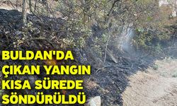 Buldan'da çıkan yangın kısa sürede söndürüldü