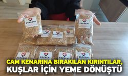 Cam kenarına bırakılan kırıntılar, kuşlar için yeme dönüştü