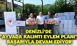 Denizli'de "Ayvada Kalıntı Eylem Planı" Başarıyla Devam Ediyor