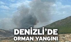 Denizli’de orman yangını