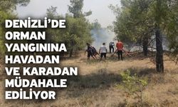 Denizli’de orman yangınına havadan ve karadan müdahale ediliyor