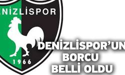 Denizlispor Temmuz Ayına Ait Mali Tabloyu Açıkladı