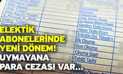 Elektik abonelerinde yeni dönem! Uymayana para cezası var...