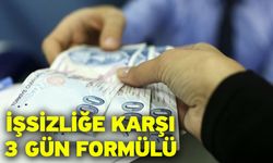 İşsizliğe Karşı 3 Gün Formülü