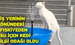 İş yerinin önündeki fıskiyeden su içen kedi ilgi odağı oldu