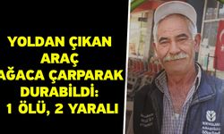 Yoldan çıkan araç ağaca çarparak durabildi: 1 ölü, 2 yaralı