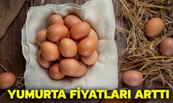 Yumurta Fiyatları Arttı