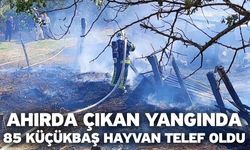 Ahırda çıkan yangında 85 küçükbaş hayvan telef oldu