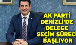 Ak Parti Denizli'de Delege Seçim Süreci Başlıyor