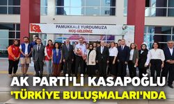 Ak Parti'li Kasapoğlu 'Türkiye Buluşmaları'nda