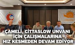 Çameli, Cittaslow Unvanı İçin Çalışmalarına Hız Kesmeden Devam Ediyor