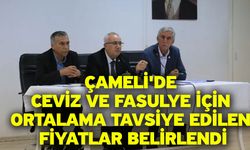 Çameli'de Ceviz ve Fasulye İçin Ortalama Tavsiye Edilen Fiyatlar Belirlendi