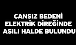 Cansız Bedeni Elektrik Direğinde Asılı Halde Bulundu