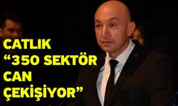 Catlık “350 sektör can çekişiyor”