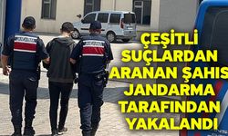 Çeşitli suçlardan aranan şahıs jandarma tarafından yakalandı