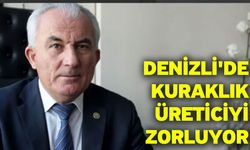 Denizli'de Kuraklık Üreticiyi Zorluyor