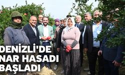 Denizli'de nar hasadı başladı