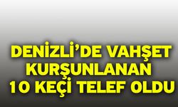 Denizli’de vahşet! Kurşunlanan 10 keçi telef oldu