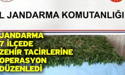 Jandarma 7 ilçede zehir tacirlerine operasyon düzenledi